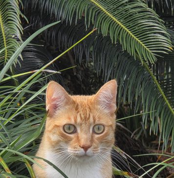 Meet the BFF of the Month, Leo